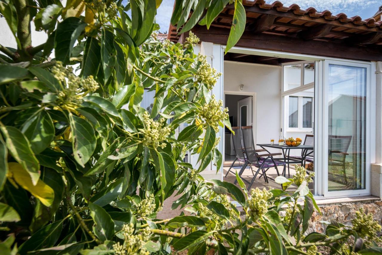 Avocado Apartment Дубровник Екстериор снимка